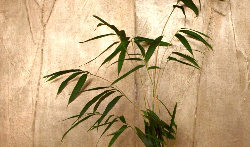 sustainable silver metallic wallpaper